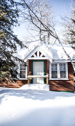 Winter Security for Homes, Cabins and Lake Properties